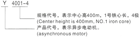 西安泰富西玛Y系列(H355-1000)高压YE2-90S-8三相异步电机型号说明